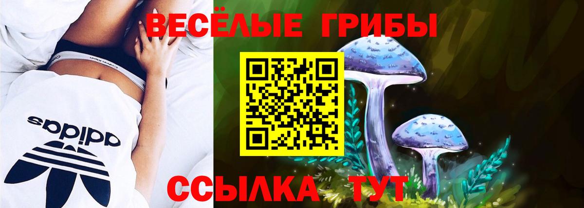 Псилоцибиновые грибы прущие грибы Грозный